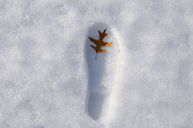 Hardloper met winterjas en reflectie op een koude ochtend